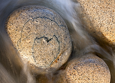 Heart shaped pattern on a circular granite boulder, Porth Nanven, Cornwall, England, United Kingdom, Europe