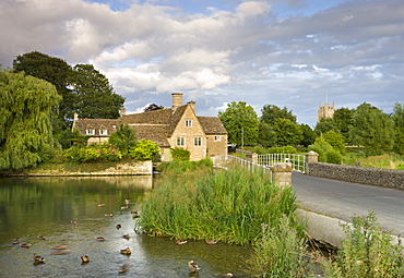 Ducks in the River Coln beside the Old Mill at Fairford in the Cotswolds, Gloucestershire, England, United Kingdom, Europe