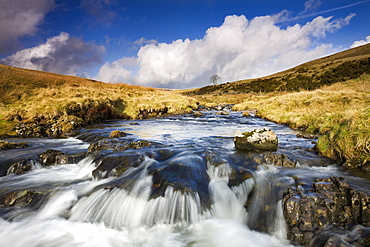 Rocky River Tawe in the moorland of forest Fawr (Great Forest), Brecon Beacons National Park, Powys, Wales, United Kingdom, Europe 