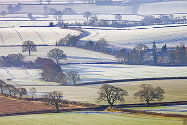 Frosted winter fields near Shobrooke, Devon, England, United Kingdom, Europe 