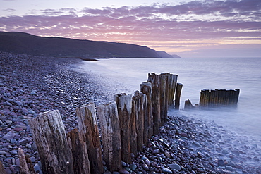 Wooden groyne on Bossington Beach, Exmoor, Somerset, England, United Kingdom, Europe 