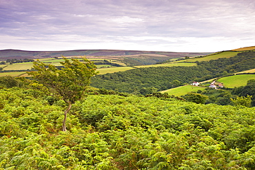 Rolling farmland and moorland viewed from Porlock Hill, Exmoor National Park, Somerset, England, United Kingdom, Europe