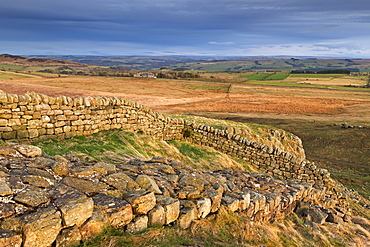 Hadrian's Wall, UNESCO World Heritage Site, on top of Steel Crags in Northumberland National Park, Northumberland, England, United Kingdom, Europe 