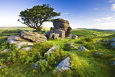 Summer at Saddle Tor in Dartmoor National Park, Devon, England, United Kingdom, Europe 