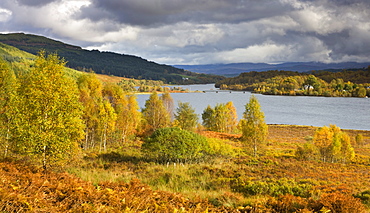 Autumn colours beside Loch Garry in the Scottish Highlands, Scotland, United Kingdom, Europe 