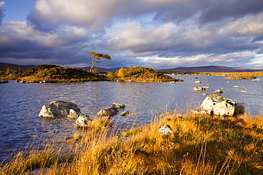 Lochan nah-Achlaise in autumn, Rannoch Moor, Highlands, Scotland, United Kingdom, Europe