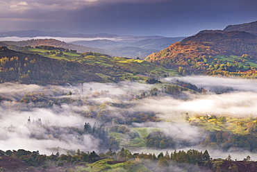 Mist covered fells in autumn, Lake District National Park, Cumbria, England, United Kingdom, Europe 