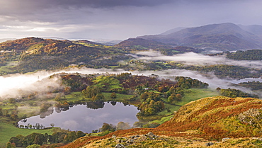 Mist covered landscape surrounding Loughrigg Tarn in autumn, Lake District, Cumbria, England, United Kingdom, Europe 