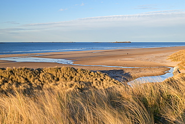 View across the beautiful Bamburgh Beach towards the Farne Islands, Northumberland, England, United Kingdom, Europe