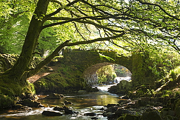 Picturesque Robber's Bridge near Oare, Exmoor, Somerset, England, United Kingdom, Europe 