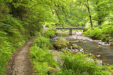 East Lyn River at Watersmeet, Exmoor National Park, Devon, England, United Kingdom, Europe 