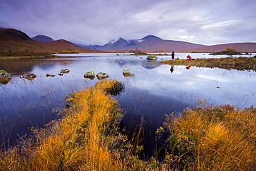 Photographers capturing the autumn colours beside Lochan Nah Achlaise on Rannoch Moor, Highlands, Scotland, United Kingdom, Europe