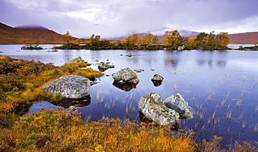 Lochan Na h-Achlaise on Rannoch Moor in the autumn, Highlands, Scotland, United Kingdom, United Kingdom, Europe