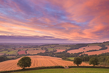 Spectacular autumn sunset above rolling Devon countryside, Stockleigh Pomeroy, Devon, England, United Kingdom, Europe