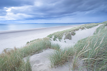 Sand dunes above Harlech Beach, Snowdonia National Park, Gwynedd, Wales, United Kingdom, Europe