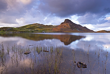 Llyn Cregennen in Snowdonia National Park, Wales, United Kingdom, Europe