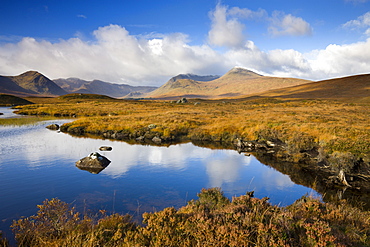 Rannoch Moor in the autumn, Highlands, Scotland, United Kingdom, Europe