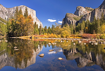 Valley View of El Capitan from the Merced River, Yosemite National Park, UNESCO World Heritage Site, California, United States of America, North America