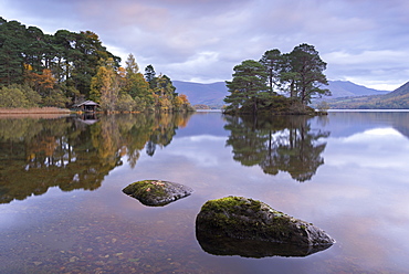 Otter Island near the southern shores of Derwent Water, Lake District National Park, Cumbria, England, United Kingdom, Europe