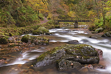 East Lyn River at Watersmeet in autumn, Exmoor, Devon, England, United Kingdom, Europe