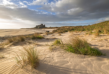 Sand dunes above Bamburgh Beach, with Bamburgh Castle in the background, Northumberland, England, United Kingdom, Europe