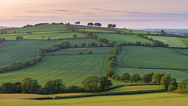 Beautiful rolling countryside in summertime, mid Devon, England, United Kingdom, Europe