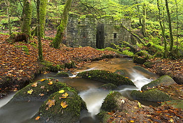 Remains of gunpowder mills at Kennall Vale Nature Reserve in Ponsanooth near Falmouth, Cornwall, England, United Kingdom, Europe