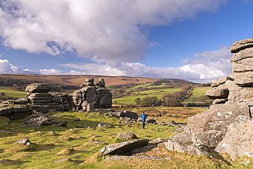 Runner at Hound Tor, Dartmoor, Devon, England, United Kingdom, Europe