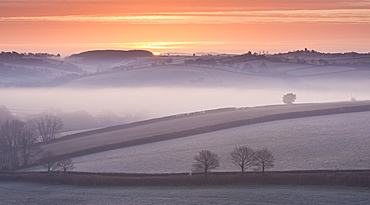 Frost and mist covered winter countryside, Morchard Bishop, Devon, England, United Kingdom, Europe