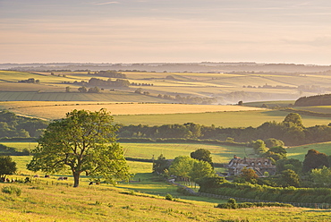 Rolling countryside and thatched cottage near Frome, Somerset, England, United Kingdom, Europe