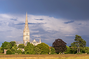 Salisbury Cathedral on a summer evening, Salisbury, Wiltshire, England, United Kingdom, Europe