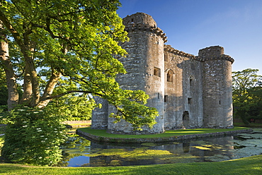 Nunney Castle and moat in summer in the village of Nunney, Somerset, England, United Kingdom, Europe