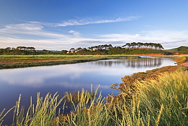 Otter Estuary at Budleigh Salterton in summer, Devon, England, United Kingdom, Europe