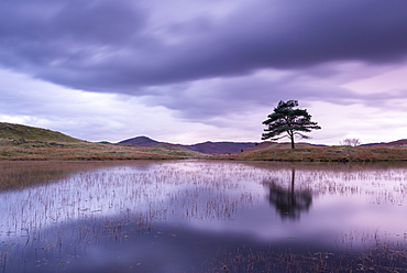 Kelly Hall Tarn at twilight, Lake District, Cumbria, England, United Kingdom, Europe