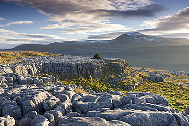 Ingleborough mountain from the limestone pavements on Twistleton Scar End, Yorkshire Dales, England, United Kingdom, Europe