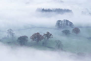 Mist covered rolling countryside at dawn, Lake District, Cumbria, England, United Kingdom, Europe