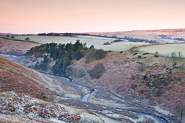 River Barle in the Cornham Brake valley on a frosty winter morning, Simonsbath, Exmoor National Park, Somerset, England, United Kingdom, Europe