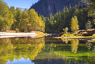 Colourful autumn trees flank the River Merced in Yosemite Valley, UNESCO World Heritage Site, California, United States of America, North America