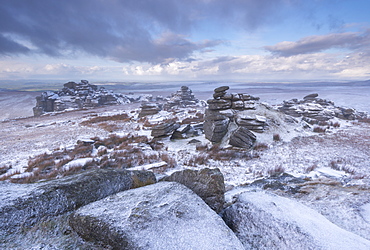 Snow covered granite outcrops on a misty winter morning at Great Mis Tor, Dartmoor National Park, Devon, England, United Kingdom, Europe