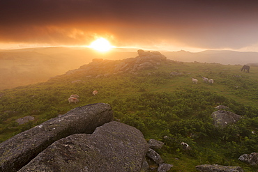 Misty summer sunset at Holwell Tor in Dartmoor National Park, Devon, England,United Kingdom, Europe