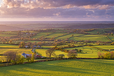 Rolling farmland countryside near Brentor, Dartmoor National Park, Devon, England, United Kingdom, Europe