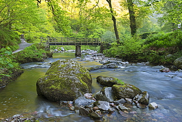 Wooden bridge over the East Lyn River at Watersmeet in spring, Exmoor National Park, Devon, England, United Kingdom, Europe