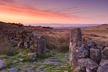 Dry stone wall and open gateway through moorland at sunrise, Dartmoor, Devon, England, United Kingdom, Europe