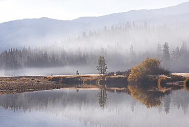 Early morning mist over Tuolumne Meadows, Yosemite National Park, UNESCO World Heritage Site, California, United States of America, North America