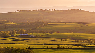 Rolling farmland near Brentor, Devon, England, United Kingdom, Europe