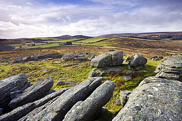 Scattered granite boulders on Hayne Down, Dartmoor National Park, Devon, England, United Kingdom, Europe