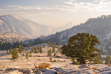 Half Dome and Clouds Rest mountains from Olmsted Point, Yosemite National Park, UNESCO World Heritage Site, California, United States of America, North America