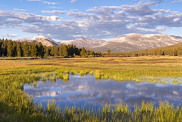 Seasonal ponds on Tuolumne Meadows in Yosemite National Park, UNESCO World Heritage Site, California, United States of America, North America