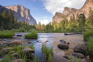 Merced River and El Capitan in Yosemite Valley, UNESCO World Heritage Site, California, United States of America, North America