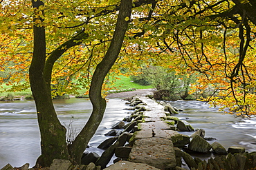 Autumnal colours above Tarr Steps in Exmoor National Park, Somerset, England, United Kingdom, Europe